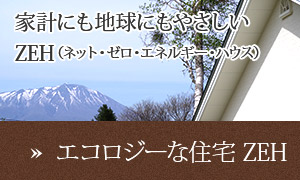 家計にも地球にもやさしいZEH(ネット・ゼロ・エネルギーハウス)　エコロジーな住宅ZEH